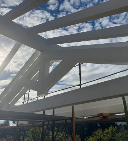 WhatsApp Image 2023-11-22 at 10.35.48 (1)